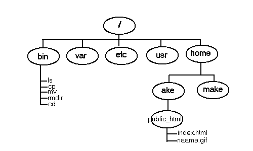 hakemistorakenne