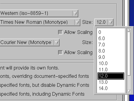Netscapen fonttikoot